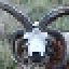 avatar-Retodon8