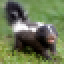 avatar-Darke_Skunk
